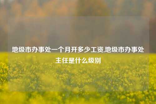 地级市办事处一个月开多少工资,地级市办事处主任是什么级别-第1张图片-中共霸州城区办事处-何庄社区