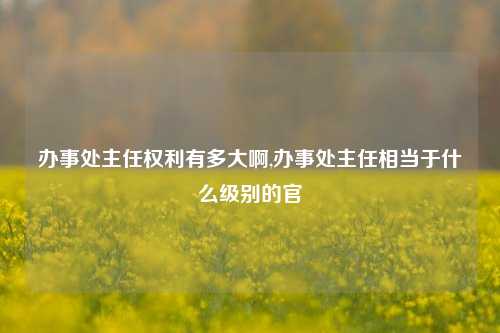 办事处主任权利有多大啊,办事处主任相当于什么级别的官-第1张图片-中共霸州城区办事处-何庄社区