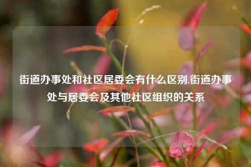 街道办事处和社区居委会有什么区别,街道办事处与居委会及其他社区组织的关系-第1张图片-中共霸州城区办事处-何庄社区