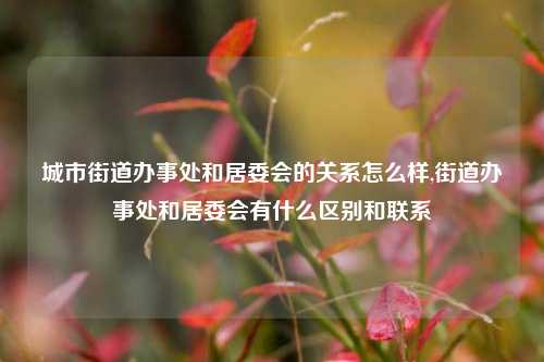 城市街道办事处和居委会的关系怎么样,街道办事处和居委会有什么区别和联系-第1张图片-中共霸州城区办事处-何庄社区