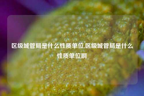 区级城管局是什么性质单位,区级城管局是什么性质单位啊-第1张图片-中共霸州城区办事处-何庄社区