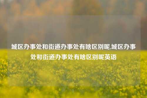 城区办事处和街道办事处有啥区别呢,城区办事处和街道办事处有啥区别呢英语-第1张图片-中共霸州城区办事处-何庄社区