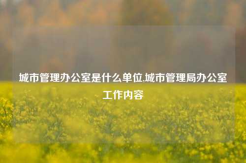 城市管理办公室是什么单位,城市管理局办公室工作内容-第1张图片-中共霸州城区办事处-何庄社区