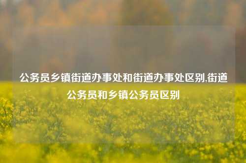 公务员乡镇街道办事处和街道办事处区别,街道公务员和乡镇公务员区别-第1张图片-中共霸州城区办事处-何庄社区