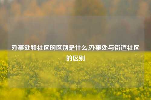 办事处和社区的区别是什么,办事处与街道社区的区别-第1张图片-中共霸州城区办事处-何庄社区