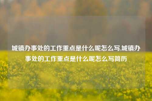 城镇办事处的工作重点是什么呢怎么写,城镇办事处的工作重点是什么呢怎么写简历-第1张图片-中共霸州城区办事处-何庄社区