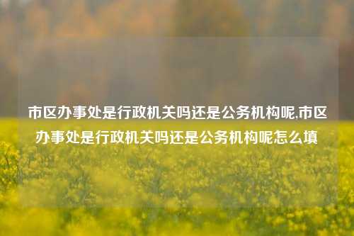 市区办事处是行政机关吗还是公务机构呢,市区办事处是行政机关吗还是公务机构呢怎么填-第1张图片-中共霸州城区办事处-何庄社区