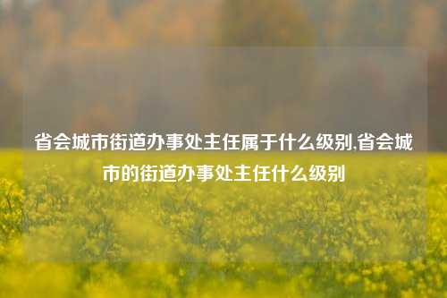 省会城市街道办事处主任属于什么级别,省会城市的街道办事处主任什么级别-第1张图片-中共霸州城区办事处-何庄社区