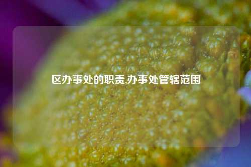 区办事处的职责,办事处管辖范围-第1张图片-中共霸州城区办事处-何庄社区