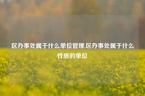 区办事处属于什么单位管理,区办事处属于什么性质的单位-第1张图片-中共霸州城区办事处-何庄社区