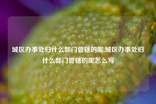 城区办事处归什么部门管辖的呢,城区办事处归什么部门管辖的呢怎么写-第1张图片-中共霸州城区办事处-何庄社区