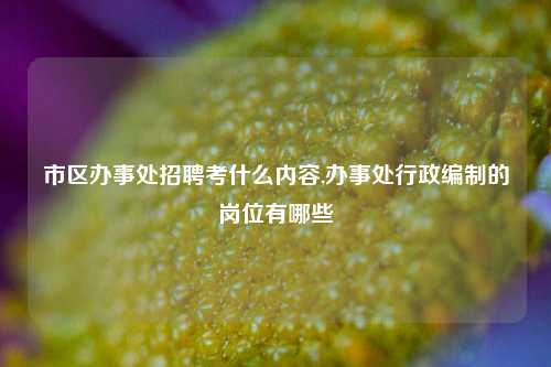 市区办事处招聘考什么内容,办事处行政编制的岗位有哪些-第1张图片-中共霸州城区办事处-何庄社区