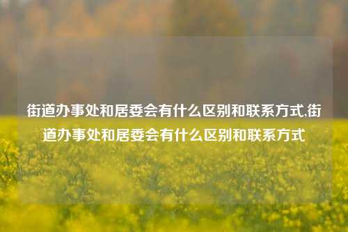 街道办事处和居委会有什么区别和联系方式,街道办事处和居委会有什么区别和联系方式-第1张图片-中共霸州城区办事处-何庄社区