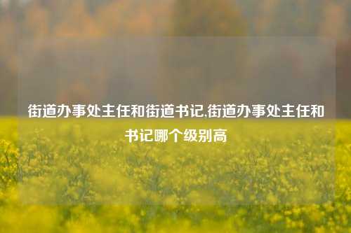 街道办事处主任和街道书记,街道办事处主任和书记哪个级别高-第1张图片-中共霸州城区办事处-何庄社区