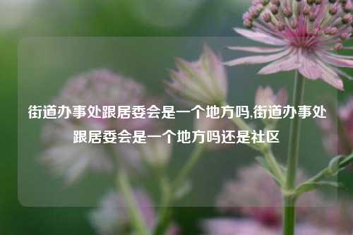 街道办事处跟居委会是一个地方吗,街道办事处跟居委会是一个地方吗还是社区-第1张图片-中共霸州城区办事处-何庄社区