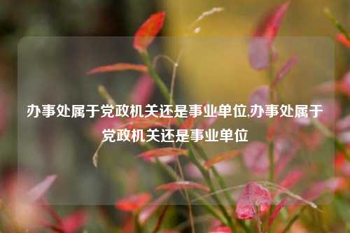 办事处属于党政机关还是事业单位,办事处属于党政机关还是事业单位-第1张图片-中共霸州城区办事处-何庄社区