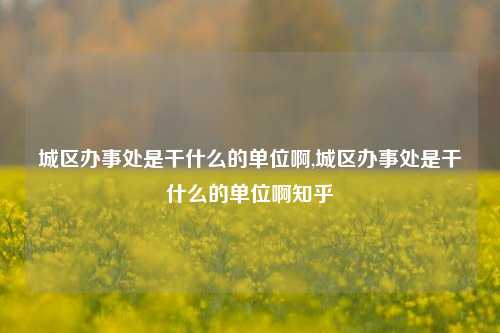 城区办事处是干什么的单位啊,城区办事处是干什么的单位啊知乎-第1张图片-中共霸州城区办事处-何庄社区