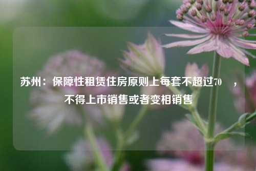 苏州：保障性租赁住房原则上每套不超过70㎡，不得上市销售或者变相销售-第1张图片-中共霸州城区办事处-何庄社区