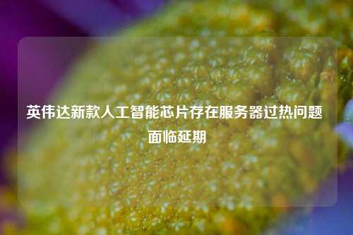 英伟达新款人工智能芯片存在服务器过热问题 面临延期-第1张图片-中共霸州城区办事处-何庄社区