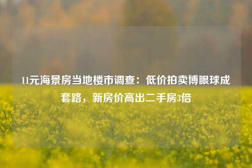 11元海景房当地楼市调查：低价拍卖博眼球成套路，新房价高出二手房3倍-第1张图片-中共霸州城区办事处-何庄社区