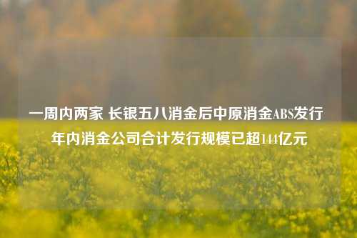 一周内两家 长银五八消金后中原消金ABS发行 年内消金公司合计发行规模已超144亿元-第1张图片-中共霸州城区办事处-何庄社区