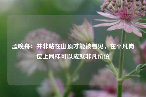 孟晚舟：并非站在山顶才能被看见，在平凡岗位上同样可以成就非凡价值-第1张图片-中共霸州城区办事处-何庄社区