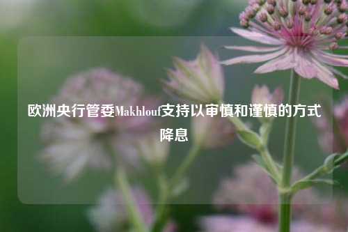 欧洲央行管委Makhlouf支持以审慎和谨慎的方式降息-第1张图片-中共霸州城区办事处-何庄社区