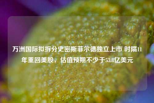 万洲国际拟拆分史密斯菲尔德独立上市 时隔11年重回美股，估值预期不少于53.8亿美元-第1张图片-中共霸州城区办事处-何庄社区