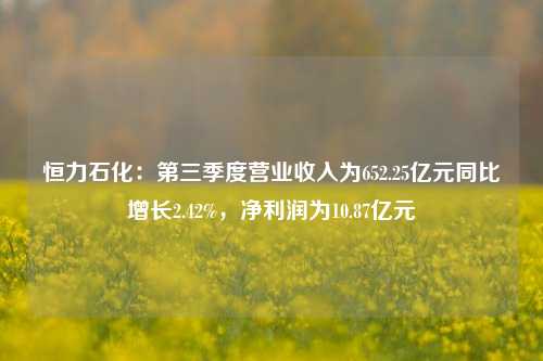 恒力石化：第三季度营业收入为652.25亿元同比增长2.42%，净利润为10.87亿元-第1张图片-中共霸州城区办事处-何庄社区