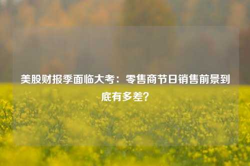 美股财报季面临大考：零售商节日销售前景到底有多差？-第1张图片-中共霸州城区办事处-何庄社区