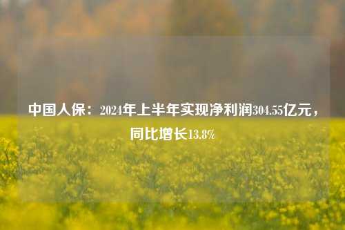 中国人保：2024年上半年实现净利润304.55亿元，同比增长13.8%-第1张图片-中共霸州城区办事处-何庄社区