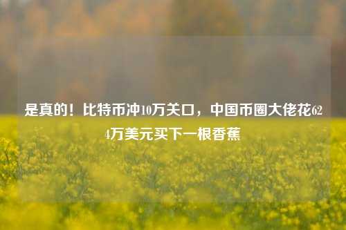 是真的！比特币冲10万关口，中国币圈大佬花624万美元买下一根香蕉-第1张图片-中共霸州城区办事处-何庄社区