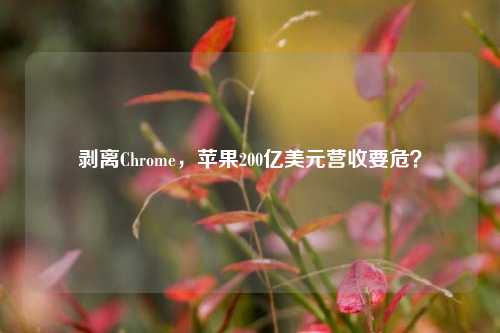 剥离Chrome，苹果200亿美元营收要危？-第1张图片-中共霸州城区办事处-何庄社区