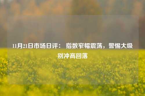 11月21日市场日评： 指数窄幅震荡，警惕大级别冲高回落-第1张图片-中共霸州城区办事处-何庄社区