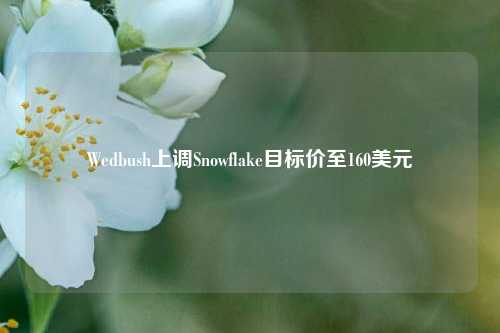 Wedbush上调Snowflake目标价至160美元-第1张图片-中共霸州城区办事处-何庄社区