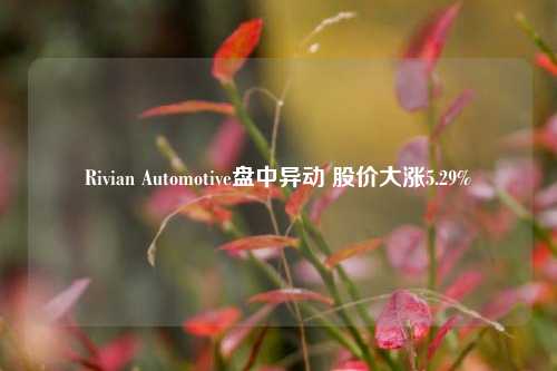 Rivian Automotive盘中异动 股价大涨5.29%-第1张图片-中共霸州城区办事处-何庄社区