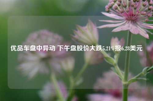 优品车盘中异动 下午盘股价大跌5.21%报6.28美元-第1张图片-中共霸州城区办事处-何庄社区