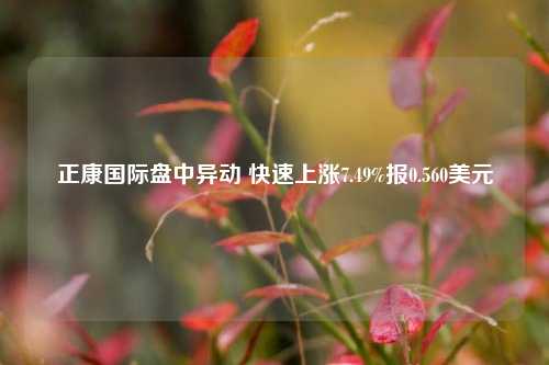 正康国际盘中异动 快速上涨7.49%报0.560美元-第1张图片-中共霸州城区办事处-何庄社区