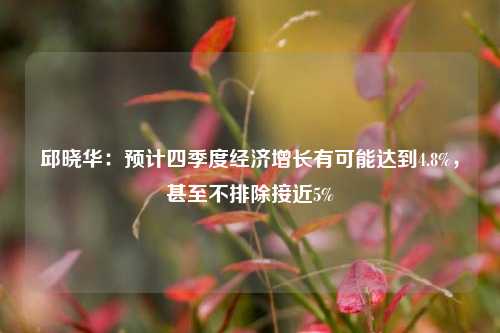 邱晓华：预计四季度经济增长有可能达到4.8%，甚至不排除接近5%-第1张图片-中共霸州城区办事处-何庄社区