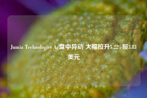 Jumia Technologies Ag盘中异动 大幅拉升5.22%报3.83美元-第1张图片-中共霸州城区办事处-何庄社区