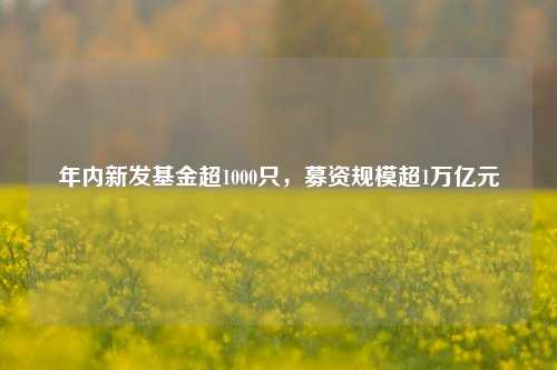 年内新发基金超1000只，募资规模超1万亿元-第1张图片-中共霸州城区办事处-何庄社区