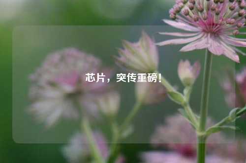 芯片，突传重磅！-第1张图片-中共霸州城区办事处-何庄社区