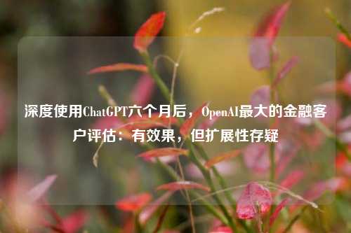 深度使用ChatGPT六个月后，OpenAI最大的金融客户评估：有效果，但扩展性存疑-第1张图片-中共霸州城区办事处-何庄社区