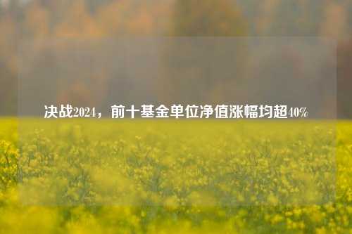 决战2024，前十基金单位净值涨幅均超40%-第1张图片-中共霸州城区办事处-何庄社区