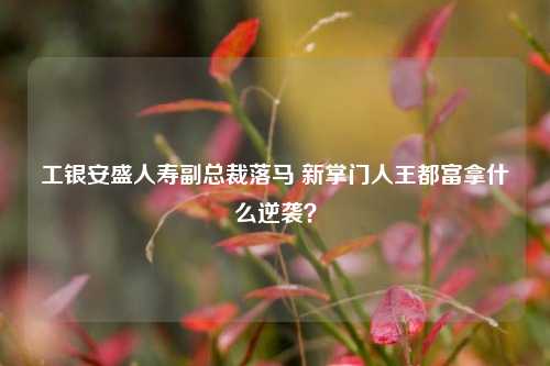 工银安盛人寿副总裁落马 新掌门人王都富拿什么逆袭？-第1张图片-中共霸州城区办事处-何庄社区