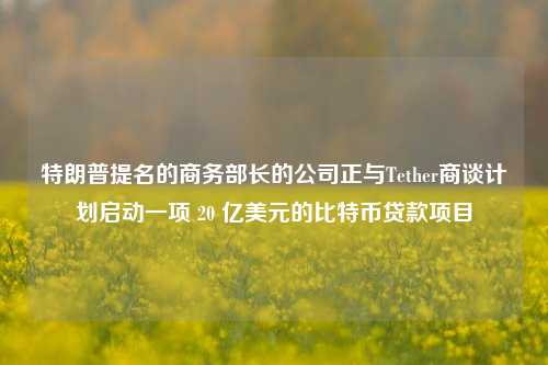 特朗普提名的商务部长的公司正与Tether商谈计划启动一项 20 亿美元的比特币贷款项目-第1张图片-中共霸州城区办事处-何庄社区