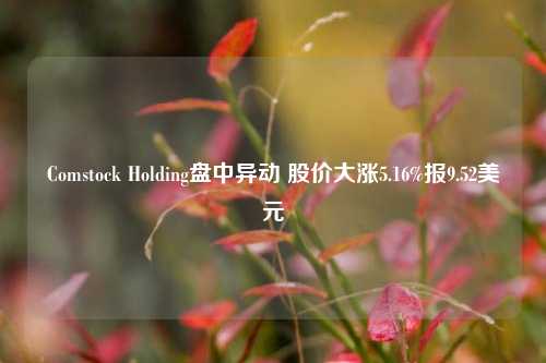 Comstock Holding盘中异动 股价大涨5.16%报9.52美元-第1张图片-中共霸州城区办事处-何庄社区