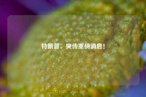 特朗普，突传重磅消息！-第1张图片-中共霸州城区办事处-何庄社区