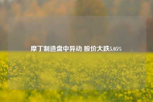 摩丁制造盘中异动 股价大跌5.05%-第1张图片-中共霸州城区办事处-何庄社区