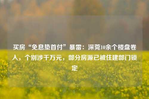 买房“免息垫首付”暴雷：深莞10余个楼盘卷入，个别涉千万元，部分房源已被住建部门锁定-第1张图片-中共霸州城区办事处-何庄社区